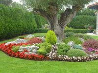 Jardineria-lanzarote