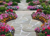 flores-jardin-preciosas-colores-piedras