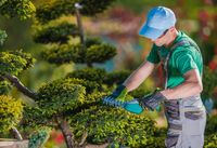 jardineros-benalmadena-MALAGA-ALDIA